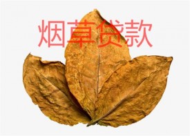 烟草贷款怎么办理?申办烟草贷条件、办理流程及注意事项分享