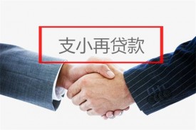 支小再贷款是什么意思? 支小再贷款政策解读、发放对象及条件