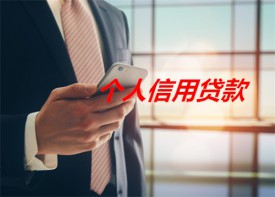 银行个人信用贷款需要什么资料(北京银行个人信用贷款资料)